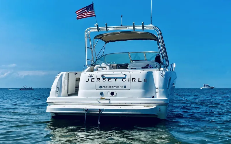 Slide: The Image of Sea Ray 290 Amberjack 2003 - 5