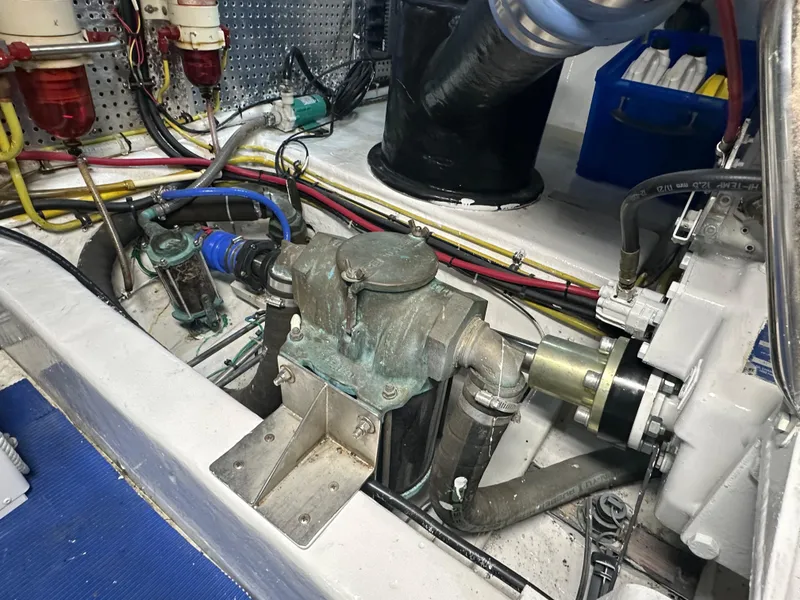 Slide: The Image of Jefferson Rivanna 50 SDMY 2005 - 98