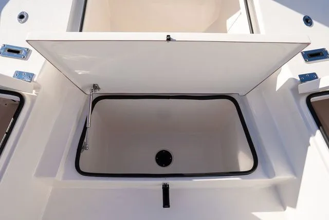 Slide: The Image of Bay Rider 269 Bay 2026 - 38