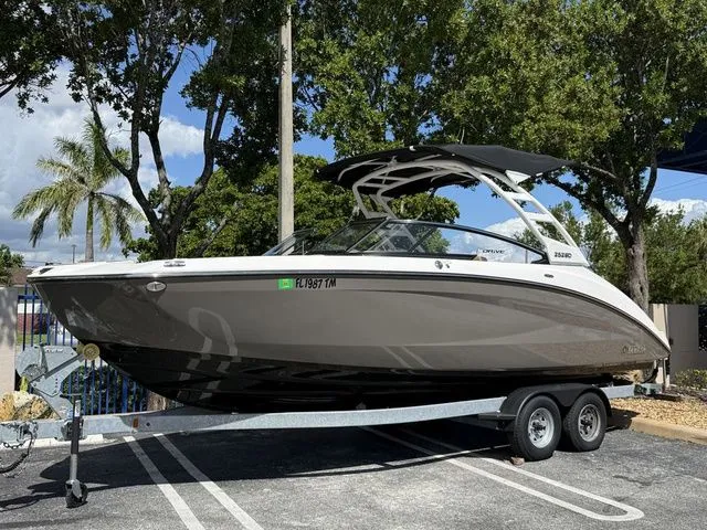 The Image of Yamaha 252SD 2023 - 1