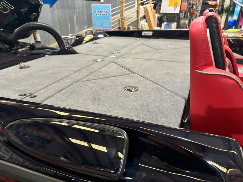 Slide: The Image of Bass Cat Eyra SP 2026 - 10