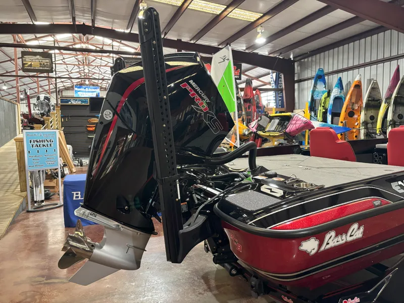 Slide: The Image of Bass Cat Eyra SP 2026 - 12