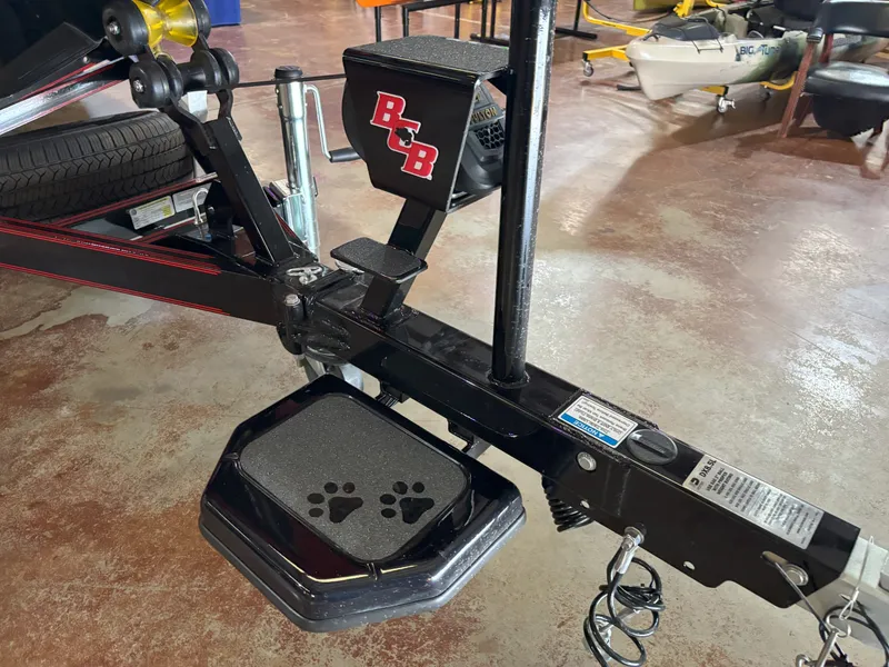 Slide: The Image of Bass Cat Eyra SP 2026 - 15