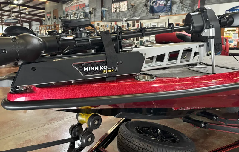 Slide: The Image of Bass Cat Eyra SP 2026 - 19