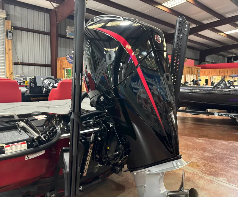 Slide: The Image of Bass Cat Eyra SP 2026 - 25