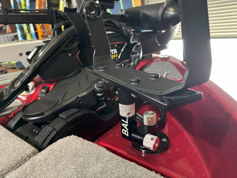 Slide: The Image of Bass Cat Eyra SP 2026 - 4