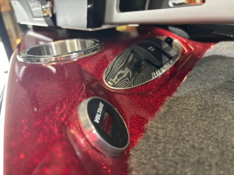 Slide: The Image of Bass Cat Eyra SP 2026 - 5