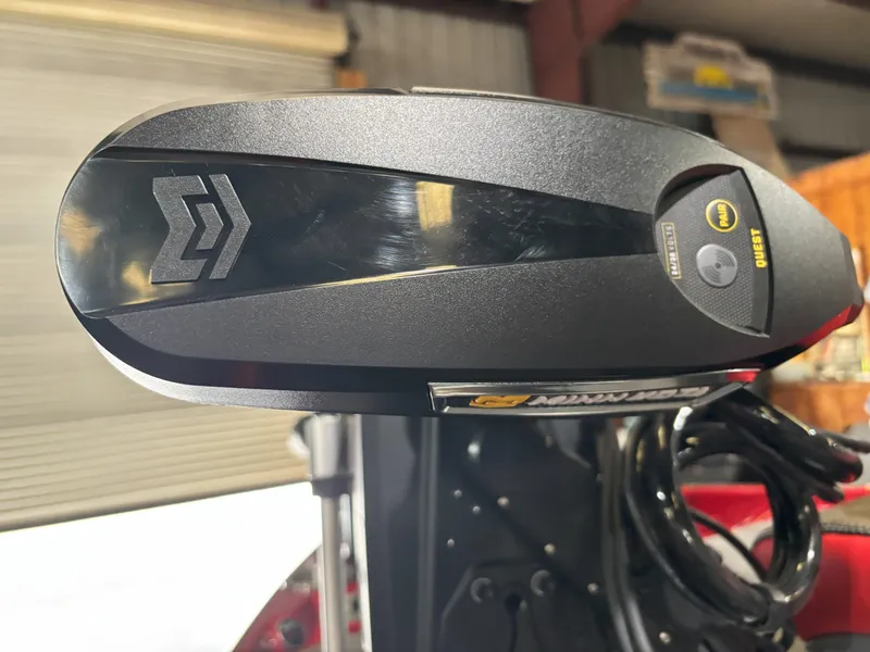 Slide: The Image of Bass Cat Eyra SP 2026 - 6