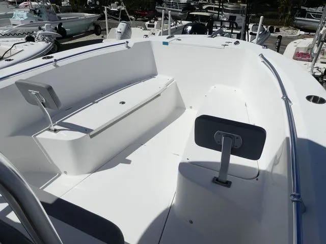 Slide: The Image of Release 240 2019 - 15