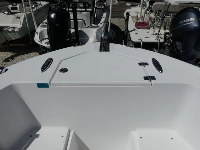 Slide: The Image of Release 240 2019 - 16