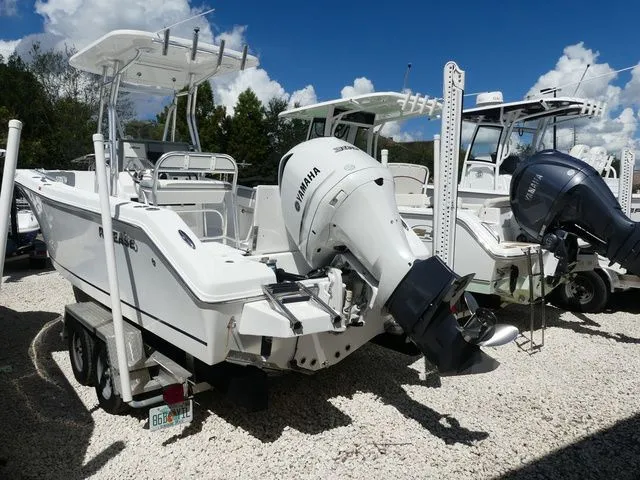 Slide: The Image of Release 240 2019 - 4