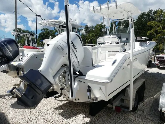 Slide: The Image of Release 240 2019 - 5