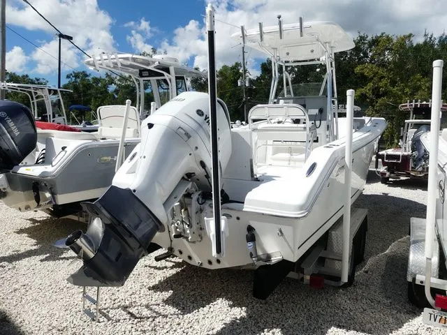 Slide: The Image of Release 240 2019 - 6