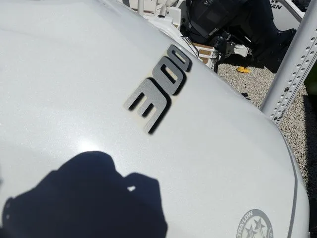 Slide: The Image of Release 240 2019 - 7