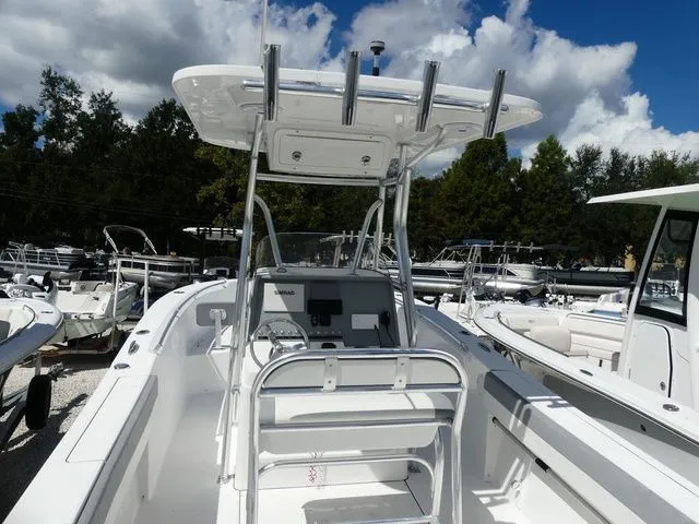 Slide: The Image of Release 240 2019 - 9