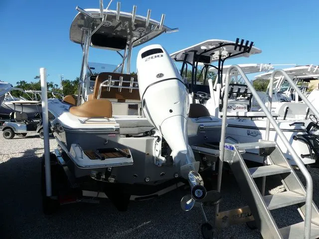 Slide: The Image of Pioneer 202 Islander 2026 - 3