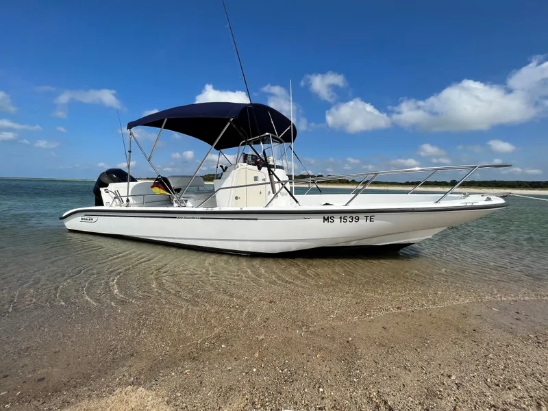 The Image of 2004 Boston Whaler 220 Dauntless boat on sandy shore under clear blue sky. - 0