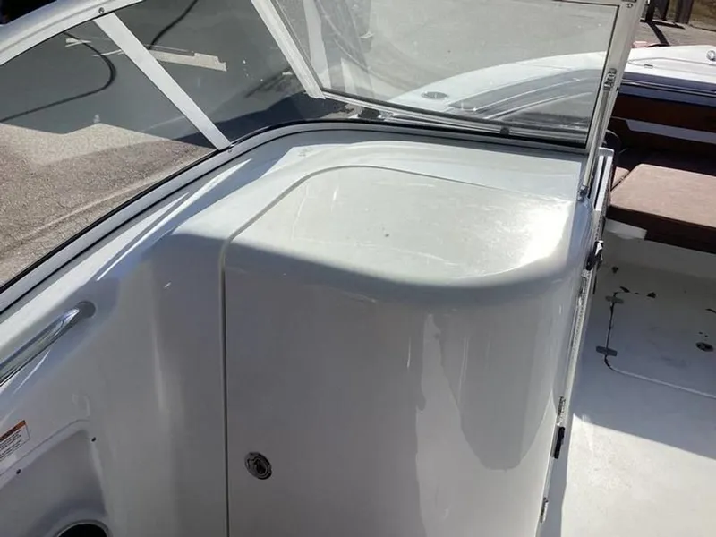 Slide: The Image of Sea Pro 240 DLX CC 2024 - 6