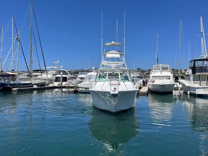 Slide: The Image of 2004 Cabo 35 Express yacht docked in a marina, surrounded by other boats under a clear blue sky. - 2