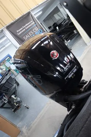 Slide: The Image of Lowe Stinger 178 2024 - 4