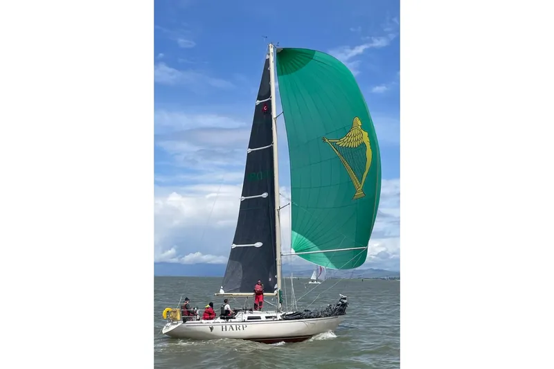 The Image of HARP showing green spinnaker with Harp design on open water. - 0