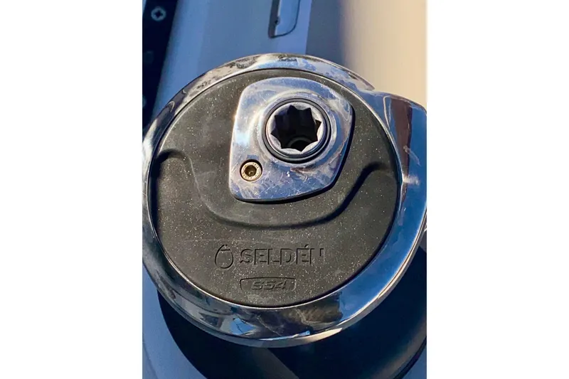 Slide: The Image of Seldon S-54 Primaries - 32