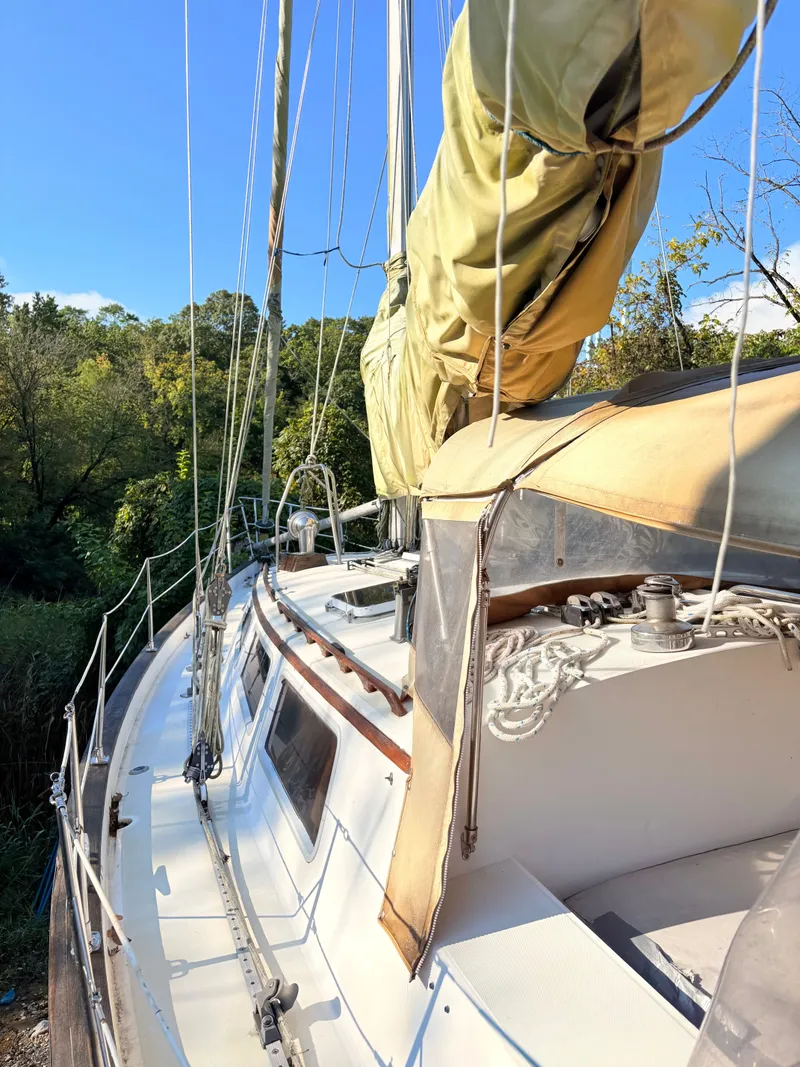 Slide: The Image of CAL 44 1985 - 5