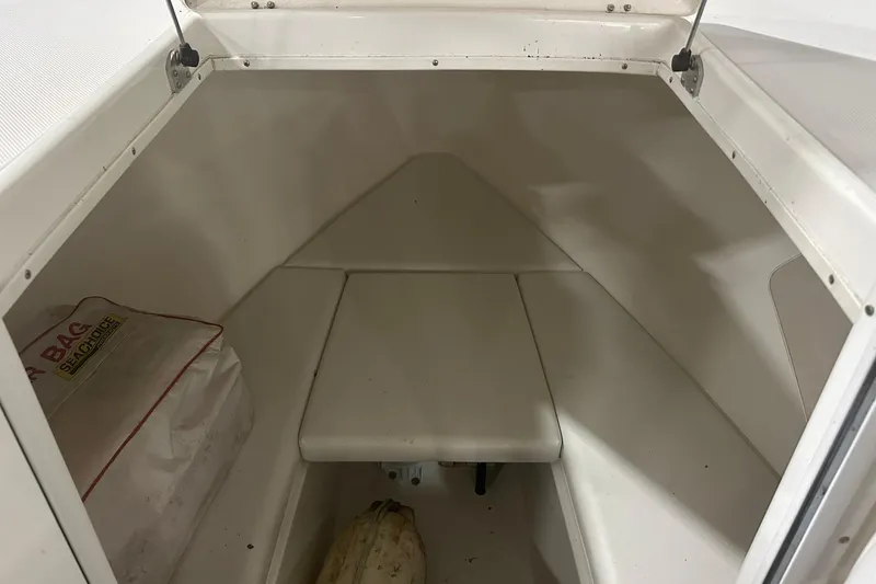 Slide: The Image of Overhead view of 2004 Salt Shaker 30 boat with dual engines in marina. - 11