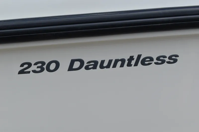 Slide: The Image of Close-up of 2010 Boston Whaler 230 Dauntless boat nameplate. - 6