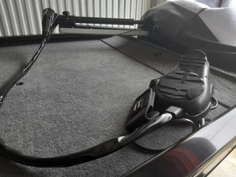 Slide: The Image of Bass Tracker Pro 170 2024 - 6