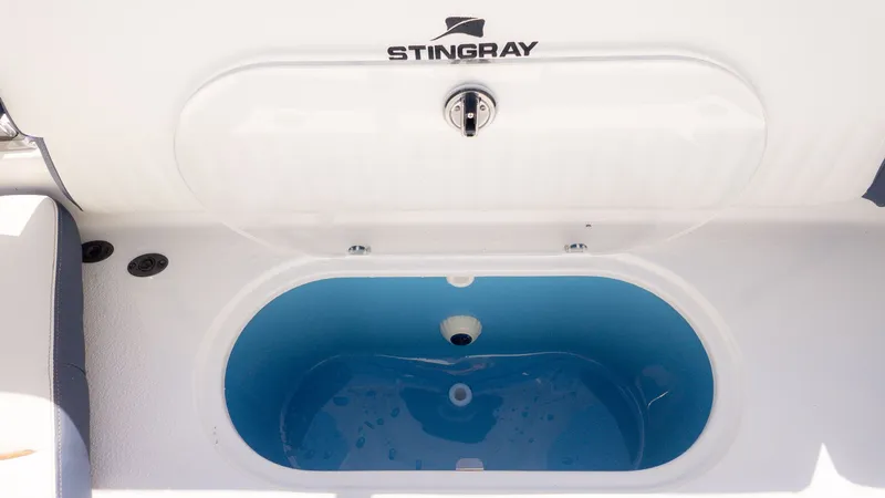 Slide: The Image of Stingray 211 DC 2026 - 10