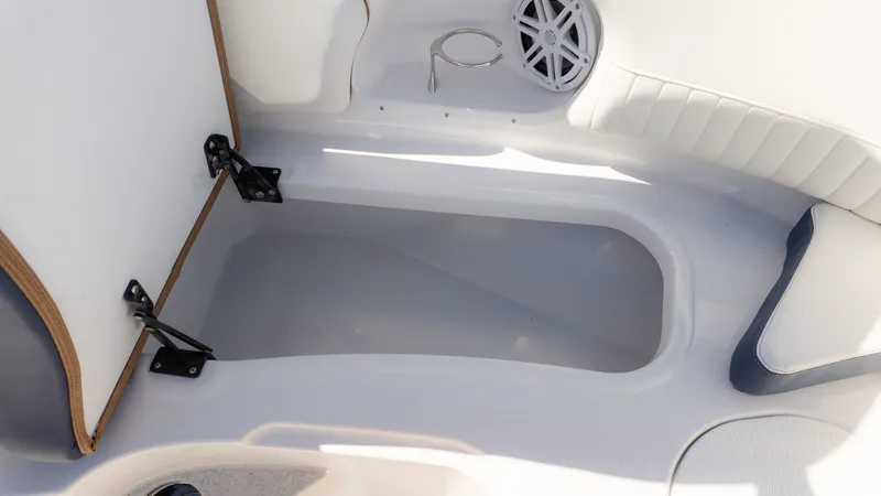 Slide: The Image of Stingray 211 DC 2026 - 17