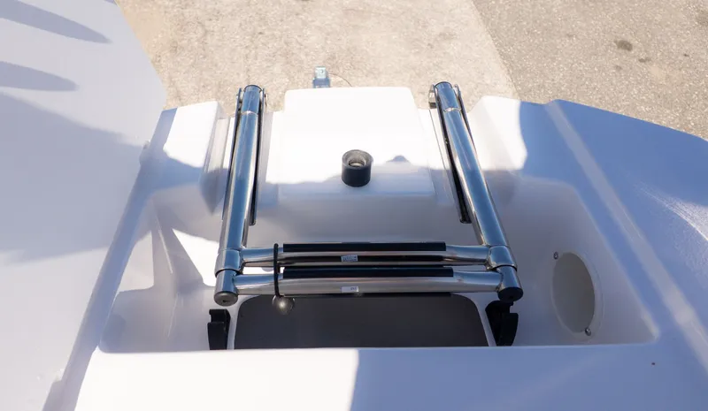 Slide: The Image of Stingray 211 DC 2026 - 19