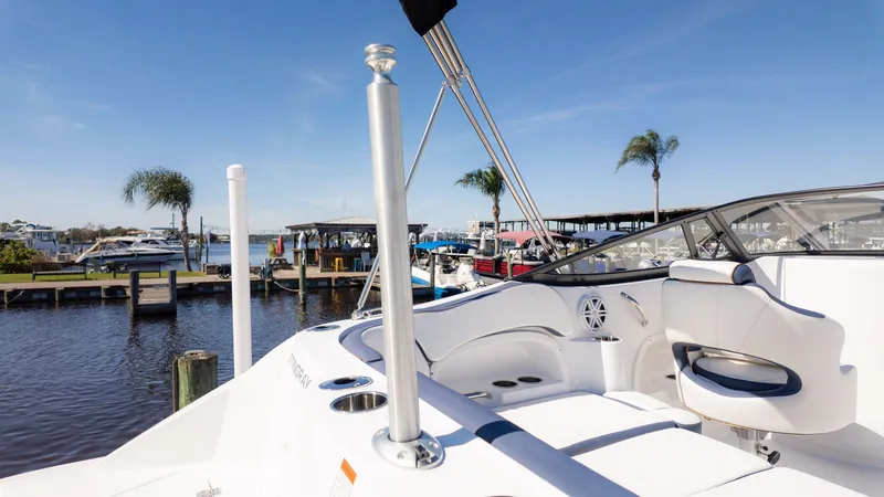 Slide: The Image of Stingray 211 DC 2026 - 7