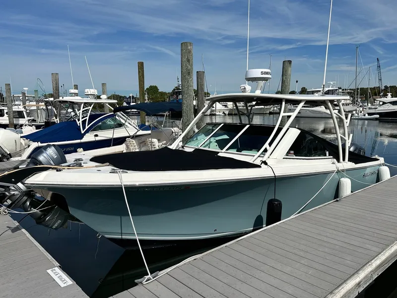 The Image of Sailfish 275 DC 2018 - 0