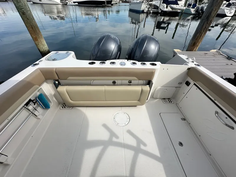 Slide: The Image of Sailfish 275 DC 2018 - 10