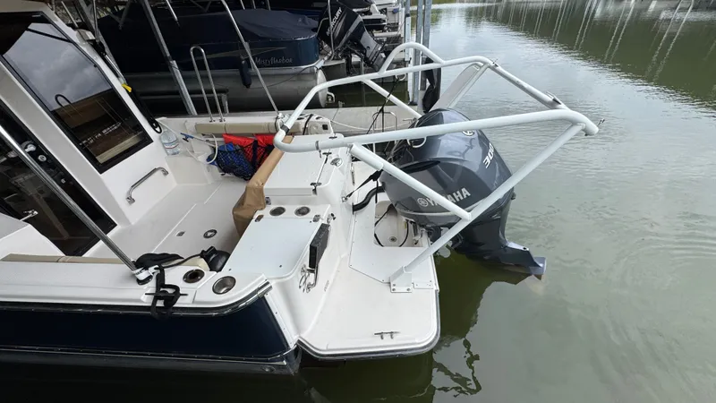 Slide: The Image of Swim Platform - 11