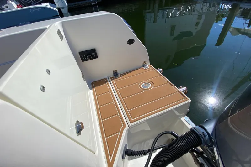 Slide: The Image of Transom Stereo Remote and concealed Swim ladder - 32