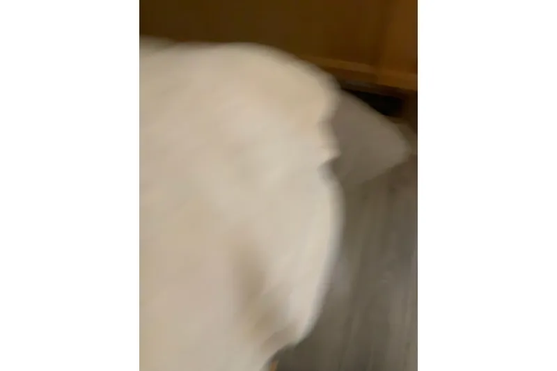 Slide: The Image of Blurry image of a Sumerset 18 x 81 houseboat interior, 2023 model. - 83