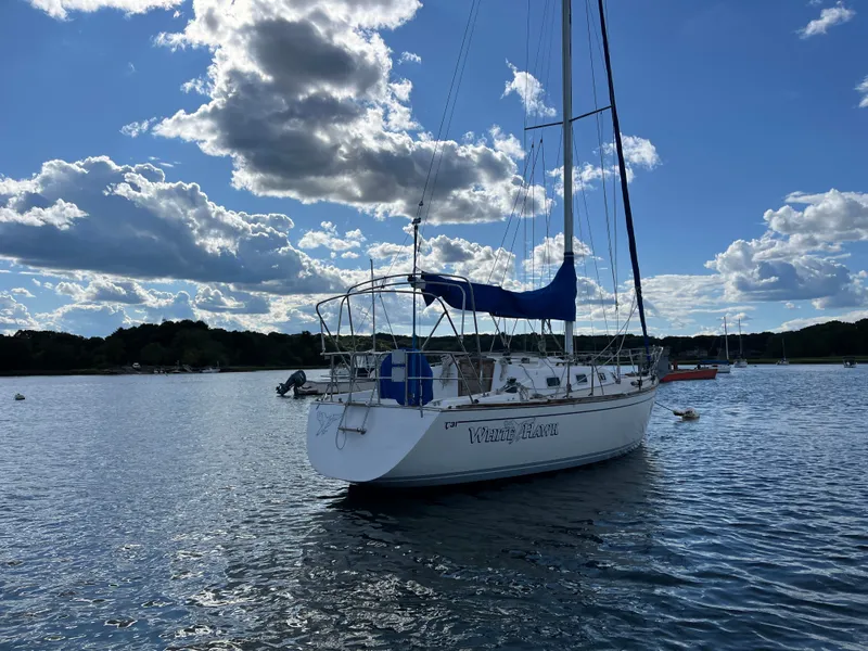 Slide: The Image of Tartan 31 1990 - 3