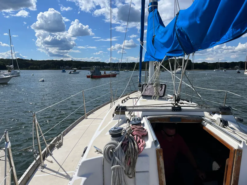 Slide: The Image of Tartan 31 1990 - 33