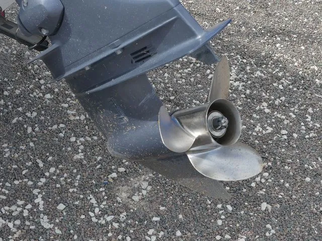 Slide: The Image of Stingray 182SC (OB) 2019 - 12