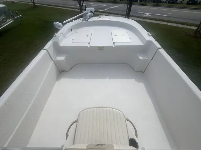 Slide: The Image of Carolina 238 DLV 2017 - 8