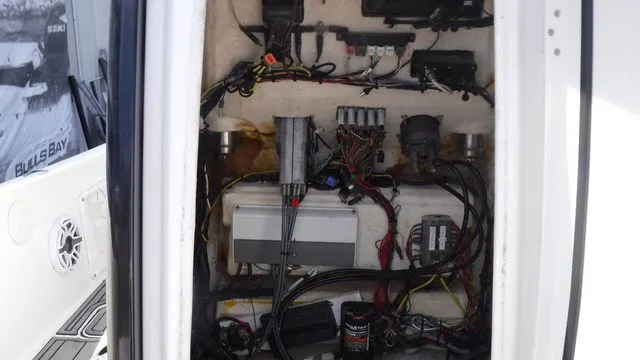 Slide: The Image of World Cat 235 CC 2023 - 19