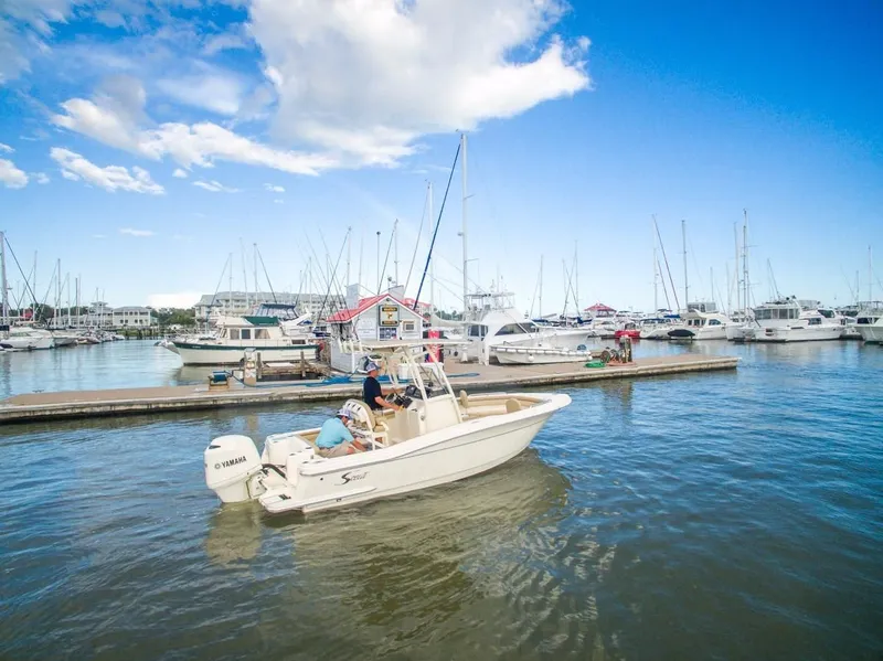 Slide: The Image of Scout 215 XSF 2025 - 5