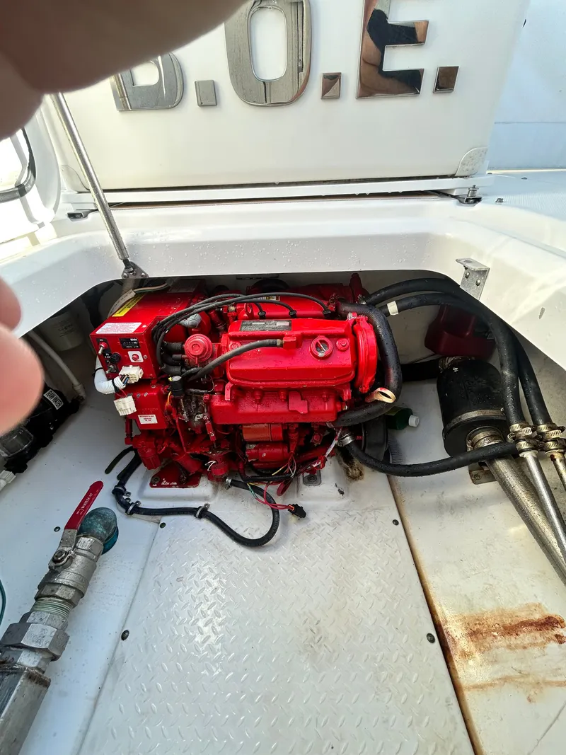 Slide: The Image of Everglades 350LX 2008 - 20