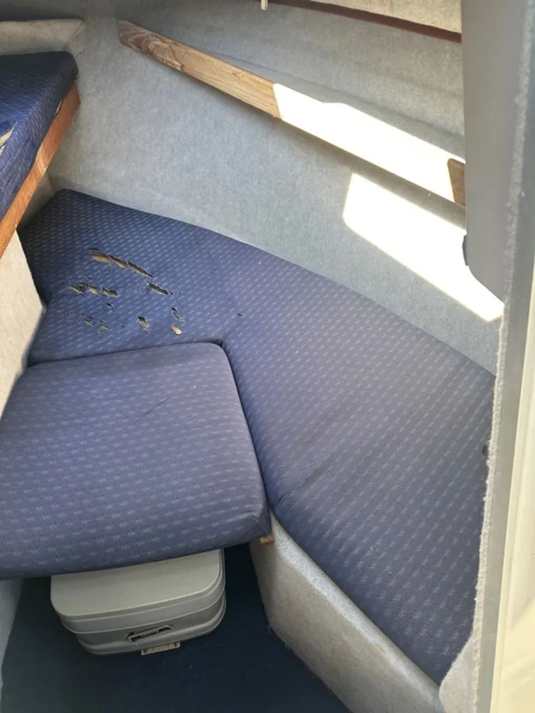 Slide: The Image of Bayliner 21 Trophy 1987 - 14