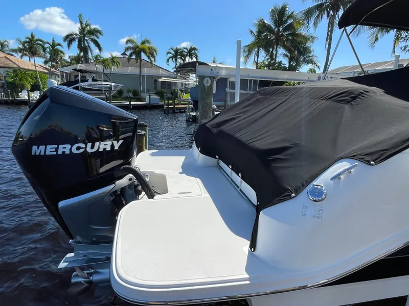 Slide: The Image of Sea Ray SDX 250 Outboard 2019 - 12
