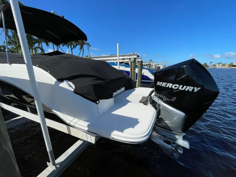Slide: The Image of Sea Ray SDX 250 Outboard 2019 - 3