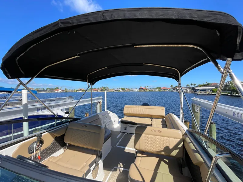 Slide: The Image of Sea Ray SDX 250 Outboard 2019 - 37